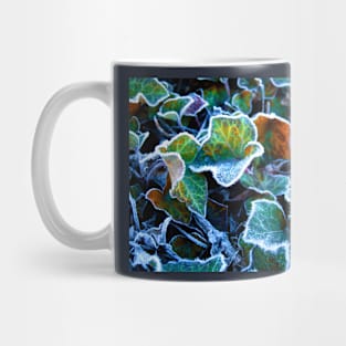 Frost on Ivy Leaves Canberra ACT Australia Mug